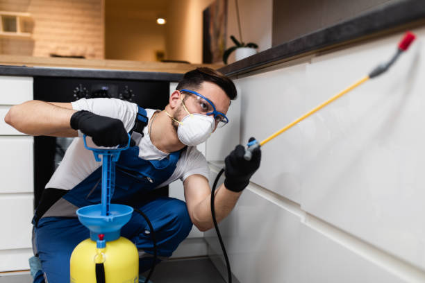 Best Termite Control Services  in Mcgregor, TX