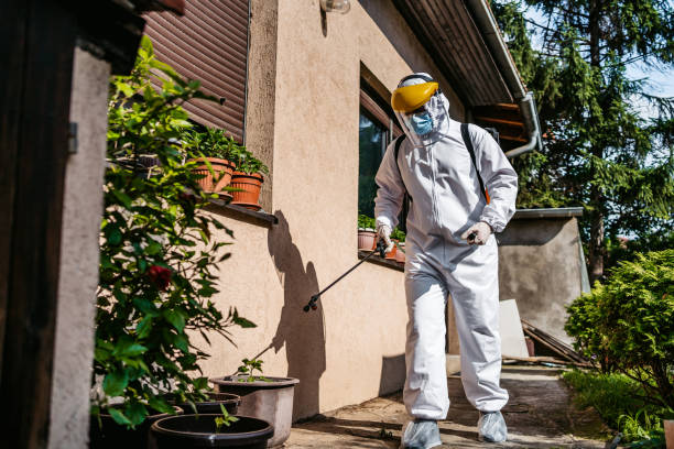 Best Pest Removal Services  in Mcgregor, TX