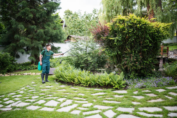 Best Local Pest Control Services  in Mcgregor, TX