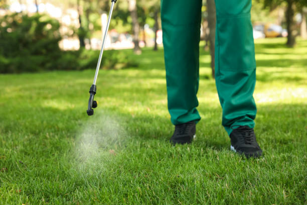 Best Exterminator Services  in Mcgregor, TX