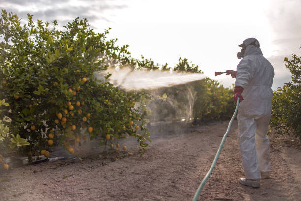 Best Residential Pest Control  in Mcgregor, TX