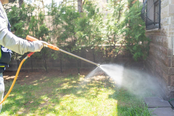 Wasp Removal Services in Mcgregor, TX