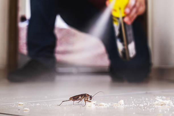 Best Best Pest Control Companies  in Mcgregor, TX