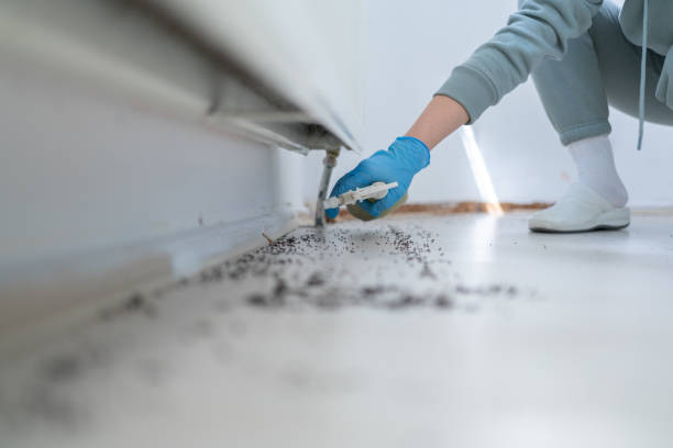 Best Ant Control Services  in Mcgregor, TX