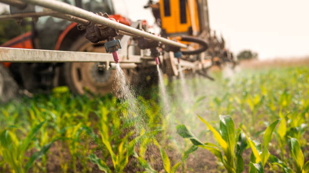 Reliable Mcgregor, TX Pest Control Solutions